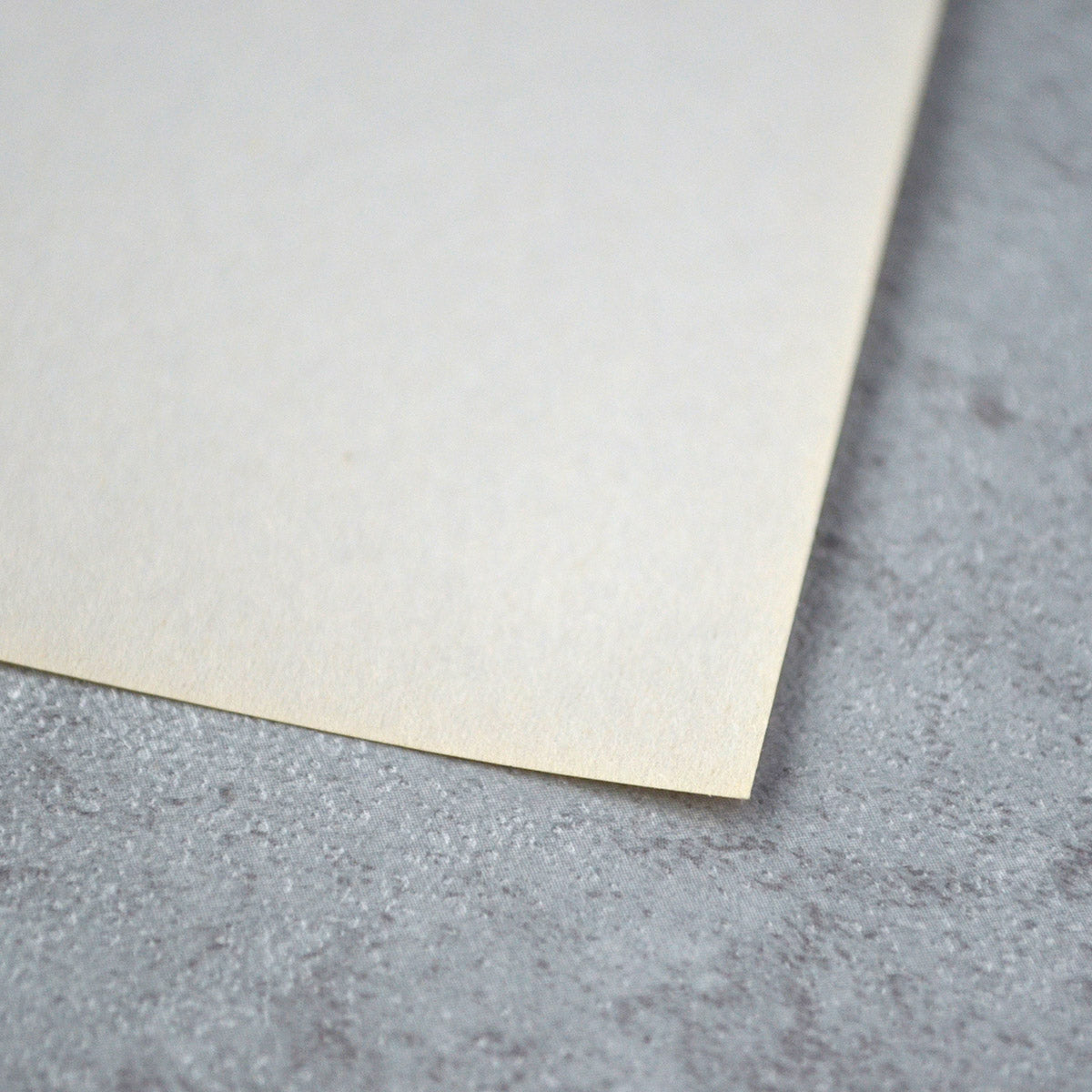 BEE-887 Series | Rough Newsprint Paper